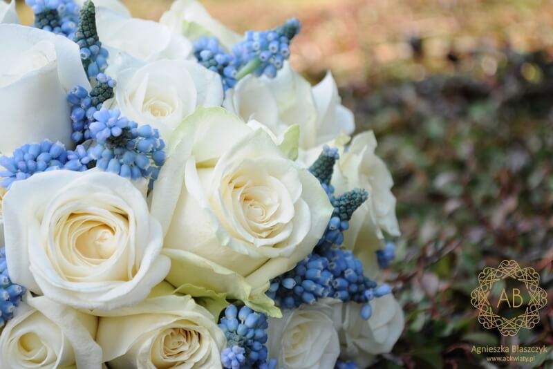 Biało-niebieski bukiet ślubny Kraków białe róże niebieskie szafirki Agnieszka Błaszczyk abkwiaty Kwiaty na ślub Bukiety ślubne Wiązanki