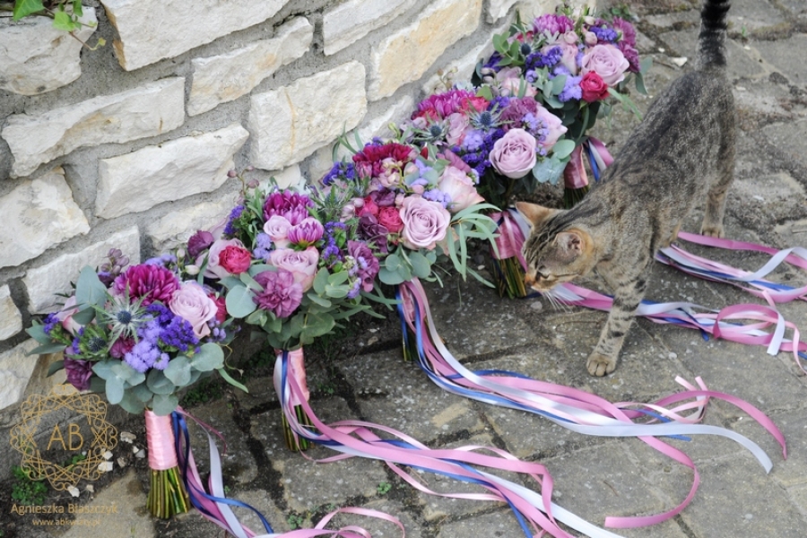 Bukiety dla druhen z fioletowych i niebieskich kwiatów ze wstążeczkami mikołajek dalia róża zatrwian eukaliptus Agnieszka Błaszczyk abkwiaty
